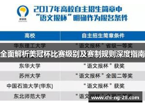 全面解析美冠杯比赛级别及赛制规则深度指南