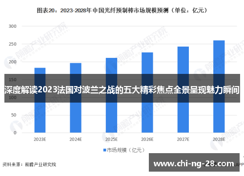 深度解读2023法国对波兰之战的五大精彩焦点全景呈现魅力瞬间