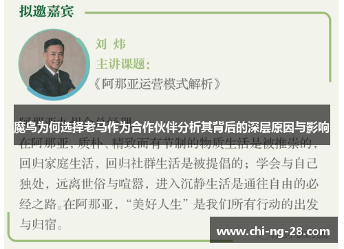 魔鸟为何选择老马作为合作伙伴分析其背后的深层原因与影响