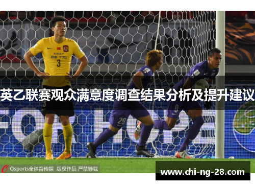 英乙联赛观众满意度调查结果分析及提升建议