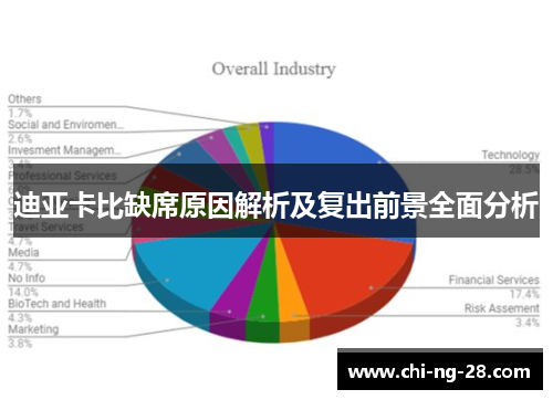 迪亚卡比缺席原因解析及复出前景全面分析