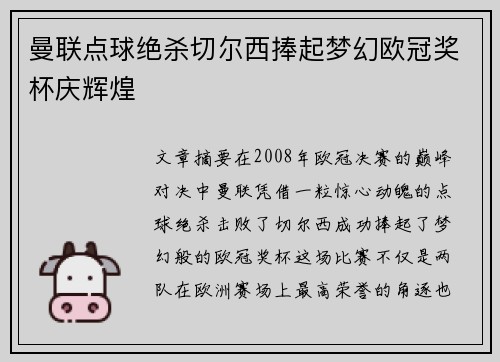 曼联点球绝杀切尔西捧起梦幻欧冠奖杯庆辉煌